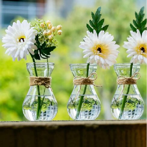 Glass Bulb Vases for Flowers Forcing Hyacinth Clear Vase Decorative Bulb Vase with Round Bamboo Coaster for Home Office Table Decoration(4 Pcs) in Saudi Arabia