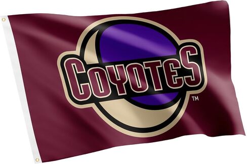 Desert Cactus Arizona Coyotes Flag NHL 100% Polyester Indoor Outdoor 3x5 feet National Hockey League Team Flags (Design C) in Saudi Arabia