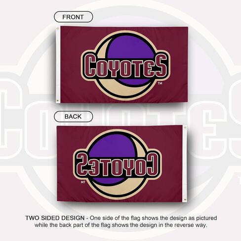 Desert Cactus Arizona Coyotes Flag NHL 100% Polyester Indoor Outdoor 3x5 feet National Hockey League Team Flags (Design C) in Saudi Arabia