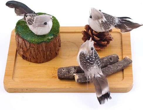Warmtree 24 Pcs Artificial Simulation Birds Feather Mini Bird Decorative Fake Birds for Christmas Tree Craft Home Ornaments Garden Wedding Decoration (Set B) in Saudi Arabia
