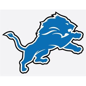 WinCraft Detroit Lions 8" Football Vinyl Decal Car Truck Stickers NFL