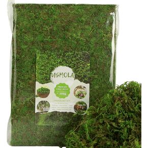 Fake Moss for Potted Plants Indoor, 2LBS Large Capacity Artificial Green Moss for DIY Crafts, Faux Moss for Table Centerpieces Fairy Garden Terrariums Decor (32OZ)