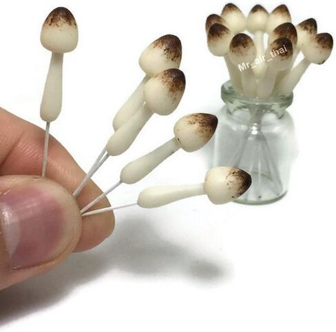 مجموعة من 15 مستلزمات حديقة خيالية على شكل فطر مصغر تمثال حيواني أثاث بيت الدمى GD#017 in Kuwait