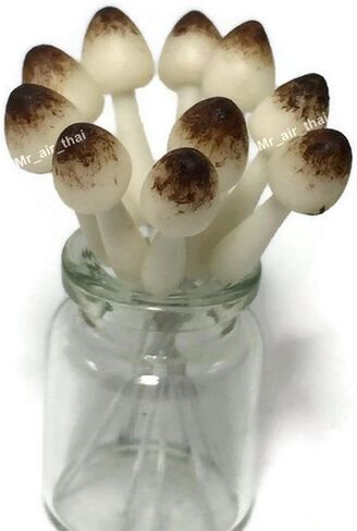 مجموعة من 15 مستلزمات حديقة خيالية على شكل فطر مصغر تمثال حيواني أثاث بيت الدمى GD#017 in Kuwait