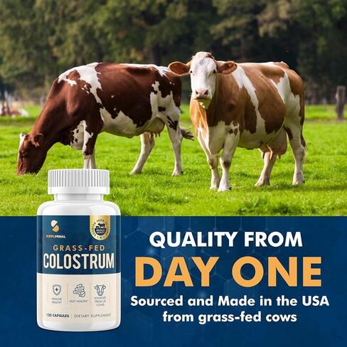 Colostrum Supplement 2 Month Supply, Grass Fed Bovine Colostrum, Colostrum Powder Capsules in Saudi Arabia