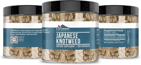 Earthborn Elements Japanese Knotweed Extract 200 Capsules, Pure & Undiluted, No Additives in Saudi Arabia