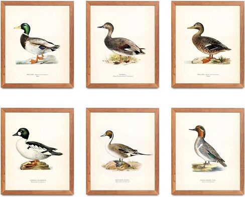 ATOZSTUDIO Hunting Art - Set of 6 Posters // Rustic Office or Man Cave Wall Art Decor // Gift for Hunters With Deer Antlers Prints // Cabin or Farmhouse Decoration // For Him (8x10) 6_2_st8 in Saudi Arabia
