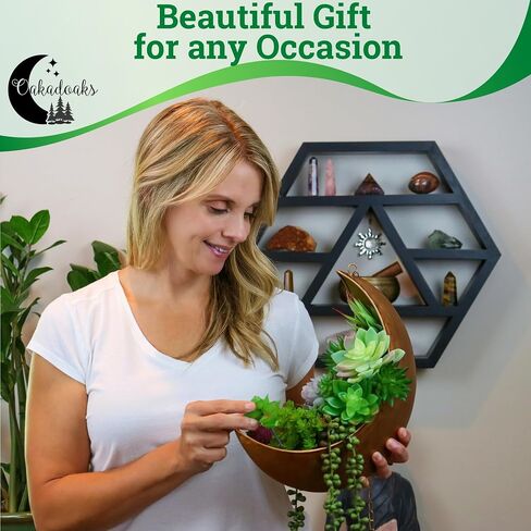 Hanging Moon Planter -14Pcs Artificial Succulents - Great for Air Plant, Mini Cactus, Faux, Artificial Plants-Boho Hanging Planters for Indoor Plants, Witchy Gifts for Women, Birthdays,Plant Lovers in Saudi Arabia