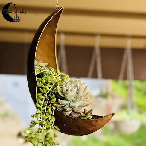 Hanging Moon Planter -14Pcs Artificial Succulents - Great for Air Plant, Mini Cactus, Faux, Artificial Plants-Boho Hanging Planters for Indoor Plants, Witchy Gifts for Women, Birthdays,Plant Lovers in Saudi Arabia