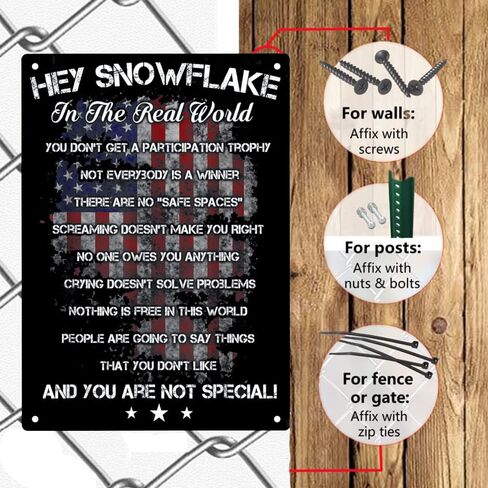 يا ندفة الثلج في العالم الحقيقي وأنت لست خاصًا بعلم أمريكي لافتات معدنية من القصدير، ملصق يا ندفة الثلج للمنزل والمكتب وغرفة النوم في الهواء الطلق والمقاهي والحانة وديكور الحائط علامة 12 × 8 بوصة in Kuwait