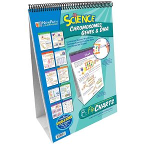 NewPath Learning Chromosomes, Genes & DNA Laminated, Double-Sided “Write-On/Wipe-Off" Flip Chart - Set of 10, 12" x 18" Charts (34-6727)