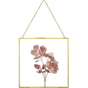 Large Brass Hanging Photo Frame for Pressed Flowers, 12x12 inch Double Clear Glass Frame DIY Artwork Picture Display Glass Clip Frames for Dried Plant Specimen Modern Wall Gold Square Ornament Frame