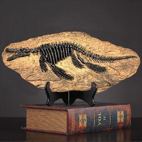 Resin Mosasaurus Dinosaur Fossil Figure Statue Model Simulated Skeleton Home Office Display Decorative Craft Box Decoration (Style 9)