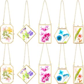 10 Pcs Glass Frame for Pressed Flowers 5 Different Shapes Brass Hanging Picture Frame with Chain Pressed Flower Glass Photo Frames for Artwork Frame Home Wall Decor Plant Specimen Photo (Black)