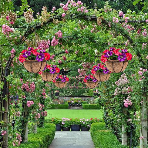 2 عبوة من الزهور الاصطناعية المعلقة في سلة، نباتات صناعية معلقة في سلة بطانة جوز الهند، زهور البتونيا المزيفة الملونة في الأواني تبدو حقيقية للديكور الداخلي والخارجي والحديقة والشرفة in Kuwait