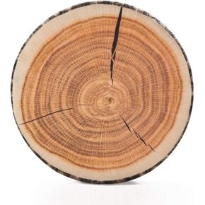 HYSEAS Decorative Round Throw Pillow, 3D Digital Print Comfortable Kids Funny Cute Wood Log Pillow Circle Seating Floor Cushion for Home, Couch, Sofa, Bedroom, Living Room Decor, Stump, 2 Pack
