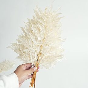 10PCS Exquisite Assortment of Dried Leaves and Floral Stems - Leaf and Flower Decor, White Eucalyptus Stems, Artificial Fern Stems, Skeleton Leaves and More for Stunning Decor