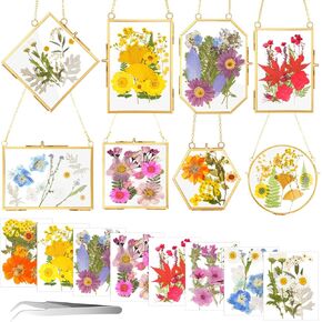8 Pcs Glass Pressed Flower Frames 5 Different Shapes Hanging Photo Picture Frame with 8 Bag Dried Flowers Chain for Artwork Frame Home Wall Decor Plant Specimen Photo Display (Brass)