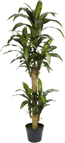 Nearly Natural 5ft. Yucca Silk Plant, Green in Saudi Arabia