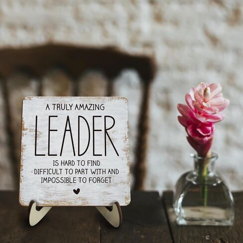 Decorative Desk Decor Motivational Nurse Gifts Positive Thank You Gifts Appreciation Plaque with Wooden Stand Inspirational Wood Sign for Nurse Women Coworker Home Office Table Bookshelf in Kuwait