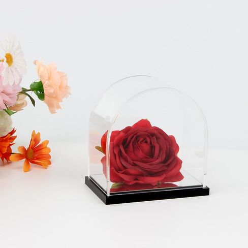 صناديق قوس أكريليك معكوسة مع قاعدة سوداء للعرض، وأشكال عرض تخزين شفافة، وحقيبة عرض دعائم الألعاب، وحاويات تزيين الزهور على سطح الطاولة لتنظيم المقتنيات in Kuwait