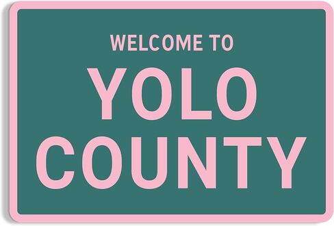 Funny Street Sign 12" x 17" - Welcome to Yolo County Teen Room Decor Aesthetic in Saudi Arabia