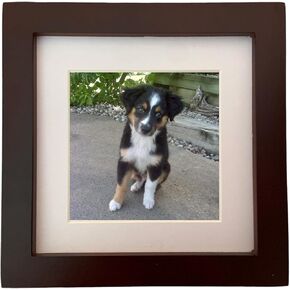 6x6 Wood Picture Frame, 4x4 with Mat, Dark Brown, Classic Square Frame for Gallery Wall or Tabletop Display, Acrylic Plexiglass Cover, Brown