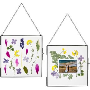 Glass Frame for Pressed Flowers, Leaf and Artwork - Hanging Gold 6x6 Square Metal Picture Frames, Clear Double Glass Floating Frame, Wall Decor Photo Display, Set of 2 Flower Press Frames with Chain