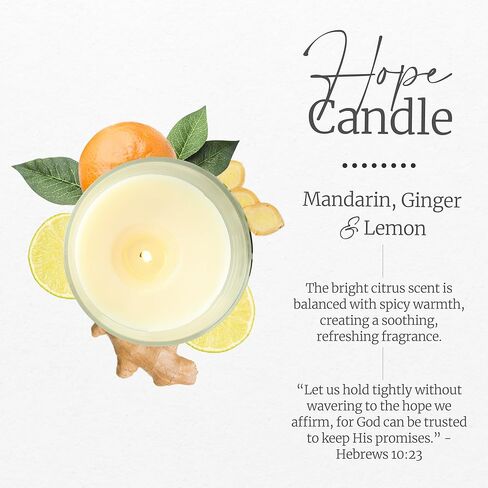 Elly & Grace - شمعة الصويا الزجاجية المعطرة مع آية الكتاب المقدس الملهمة - هدايا مسيحية للنساء شموع معطرة للمنزل تفكر في هدايا للنساء شموع هدايا للنساء (الأمل) in Kuwait