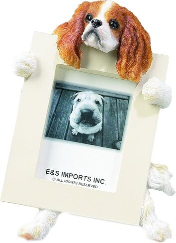 Cavalier King (Brown) Charles Spaniel 2.5" x 3.5" Picture Frame in Saudi Arabia