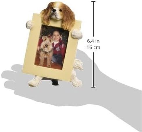 Cavalier King (Brown) Charles Spaniel 2.5" x 3.5" Picture Frame in Saudi Arabia