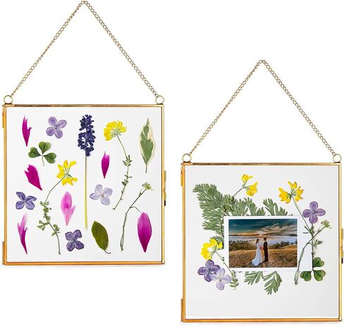 Glass Frame for Pressed Flowers, Leaf and Artwork - Hanging Gold 6x6 Square Metal Picture Frames, Clear Double Glass Floating Frame, Wall Decor Photo Display, Set of 2 Flower Press Frames with Chain in Saudi Arabia