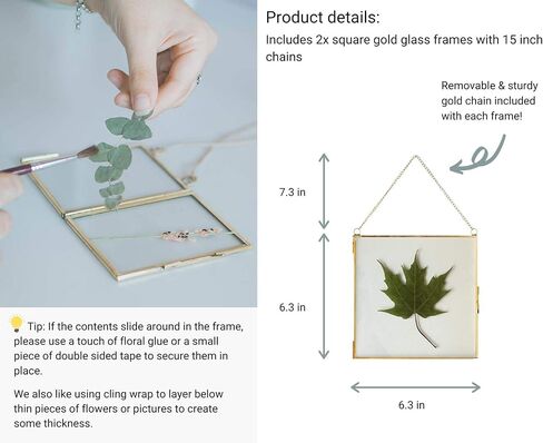 Glass Frame for Pressed Flowers, Leaf and Artwork - Hanging Gold 6x6 Square Metal Picture Frames, Clear Double Glass Floating Frame, Wall Decor Photo Display, Set of 2 Flower Press Frames with Chain in Saudi Arabia