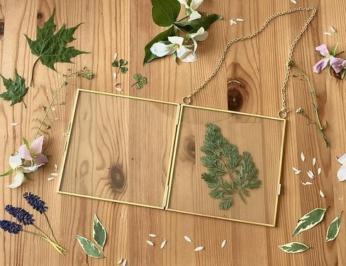 Glass Frame for Pressed Flowers, Leaf and Artwork - Hanging Gold 6x6 Square Metal Picture Frames, Clear Double Glass Floating Frame, Wall Decor Photo Display, Set of 2 Flower Press Frames with Chain in Saudi Arabia