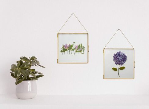 Glass Frame for Pressed Flowers, Leaf and Artwork - Hanging Gold 6x6 Square Metal Picture Frames, Clear Double Glass Floating Frame, Wall Decor Photo Display, Set of 2 Flower Press Frames with Chain in Saudi Arabia