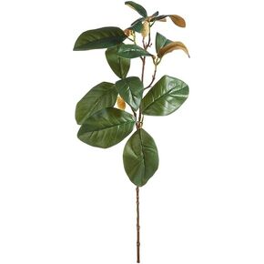 Raz Imports 29"" Magnolia Leaf Spray - Real Touch - Green - Plastic/Polyester - Living Room Artificial Plants & Trees for Home Decor - Indoor/Outdoor Decorations, F4302062