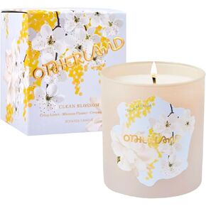 Canopy Fig Scented Candle | Boxed Jar Candle | Luxury Candle | Single Wick Coconut & Soy Wax Blend Candle | Vegan Candle | Long Lasting Candle | White Candle (8 oz)