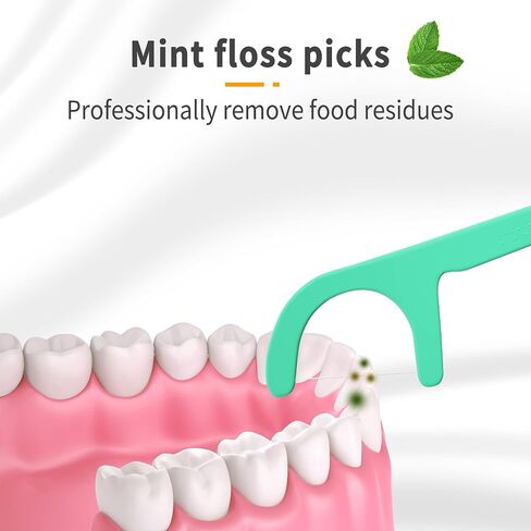 Mint Dental Floss Picks,Tooth Picks Flossers for Adults，600 Count with a Portable Travel Cases Floss in Saudi Arabia