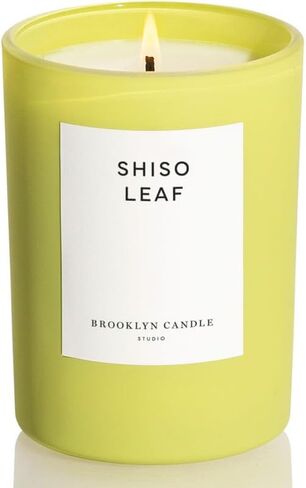 Brooklyn Candle Studio Matcha Summer Candle - Luxury Scented Candle, Vegan Soy Wax, Hand Poured in The USA, 70 Hour Slow Burn Time - 10oz in Saudi Arabia
