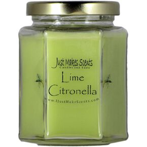 Orange Citronella Scented Blended Soy Candle for Indoor Use by Just Makes Scents (Orange Citronella)