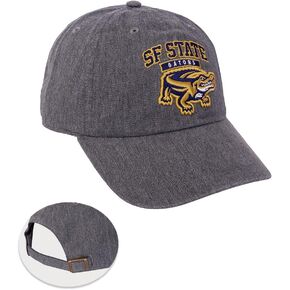 Desert Cactus San Francisco State University Baseball Hat SFSU Gators Brimmed Embroirderd Cap Adjustable Cloth Strap Adult (Style A) Grey