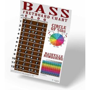 4 String Bass Fretboard Poster Nashville Numbering System Circle of 5ths Instructional Notes Fifths | A New Song Music