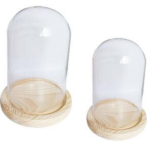 Pack of 2 Dome Glass Display Cloche with Wood Base (4x7.5 and 3.1x4.7) in Saudi Arabia