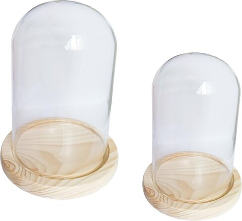Pack of 2 Dome Glass Display Cloche with Wood Base (4x7.5 and 3.1x4.7) in Saudi Arabia