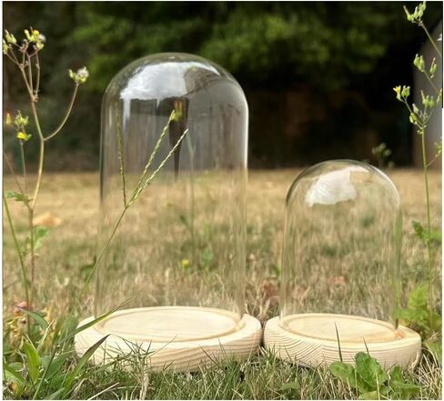 Pack of 2 Dome Glass Display Cloche with Wood Base (4x7.5 and 3.1x4.7) in Saudi Arabia