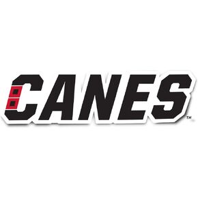 Desert Cactus Carolina Hurricanes Team NHL National Hockey League Sticker Vinyl Decal Laptop Water Bottle Car Scrapbook (Individual D)