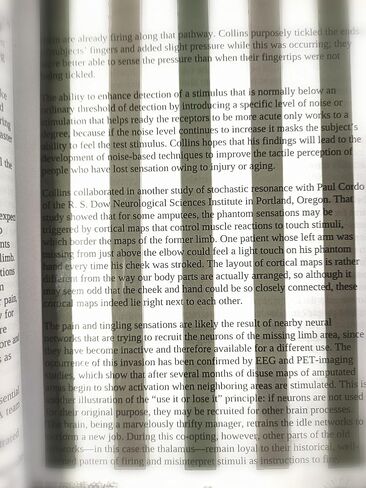Polarization Reading Unit Reading Bars Vision Therapy Tool in Saudi Arabia