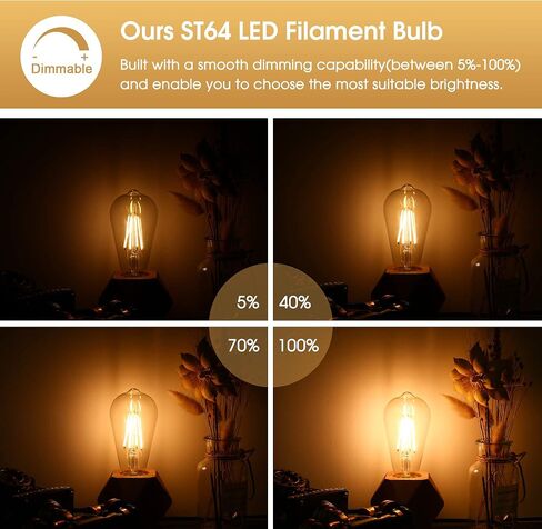 DORESshop Dimmable ST64 LED Edison Bulbs, 8W Vintage LED Edison Bulbs, Equivalent 60W, Warm White 2700K, 800LM, E26 Base Decorative LED Filament Bulbs for Cafe Patio, 6 Pack in Saudi Arabia