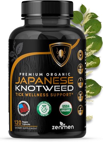 Knotweed اليابانية الممتازة العضوية التي تم اختبارها من قبل وزارة الزراعة الأمريكية من قبل طرف ثالث - 120 كبسولة، صنعت في الولايات المتحدة الأمريكية - تدعم جهاز المناعة ودعم صحة القراد in Kuwait