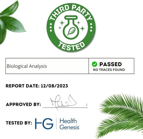 Knotweed اليابانية الممتازة العضوية التي تم اختبارها من قبل وزارة الزراعة الأمريكية من قبل طرف ثالث - 120 كبسولة، صنعت في الولايات المتحدة الأمريكية - تدعم جهاز المناعة ودعم صحة القراد in Kuwait